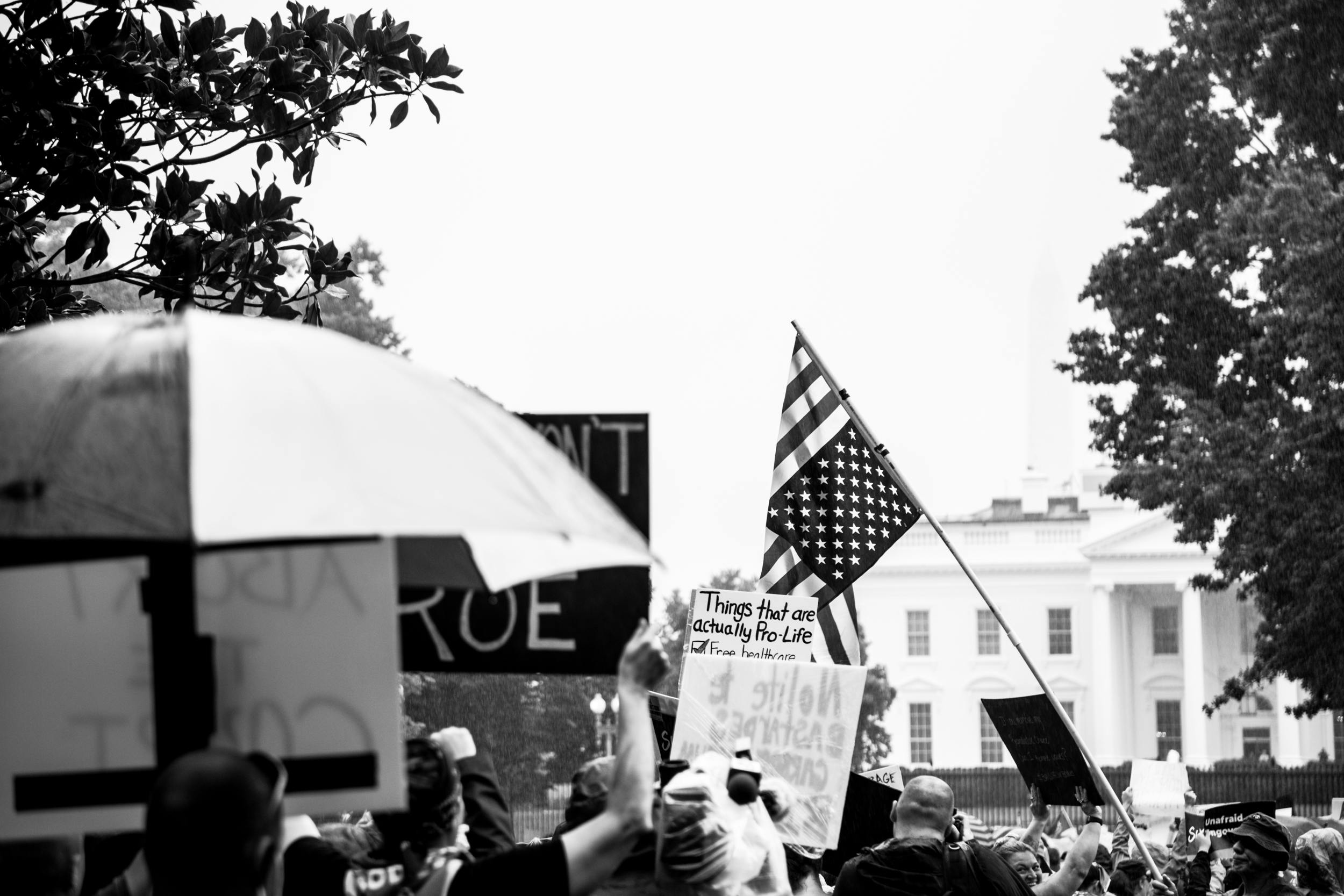 As the march approached the White House, the collective anger and energy rose significantly and the march split into those who were engaging in civil disobedience and those bearing witness from a safe distance.